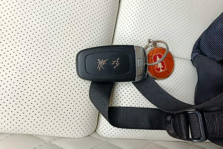 Used Hongqi E-HS9 2022 660 km Range Flagship Edition Four Seats Vehicle Key