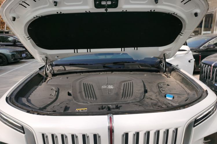 Used Hongqi E-HS9 2022 660 km Range Flagway Edition Six Seats Engine Bay
