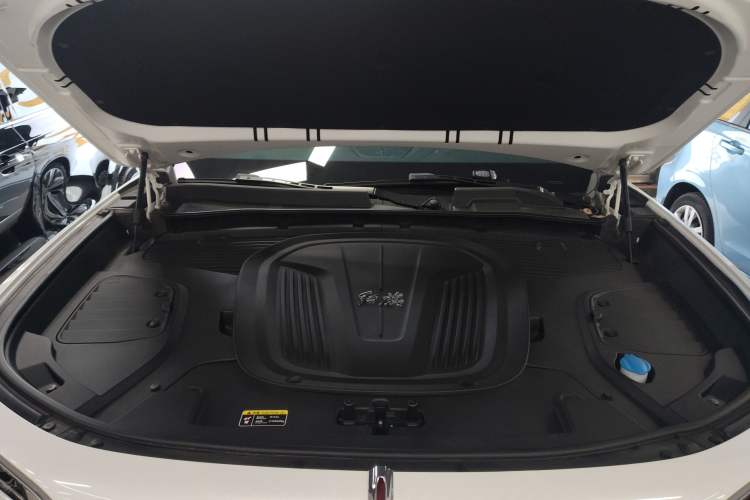 Used Hongqi E-HS9 2022 660 km Range Flagway Edition Six Seats Engine Bay
