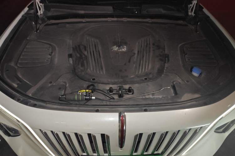 Used Hongqi E-HS9 2022 660 km Range Flagway Edition Six Seats Engine Bay