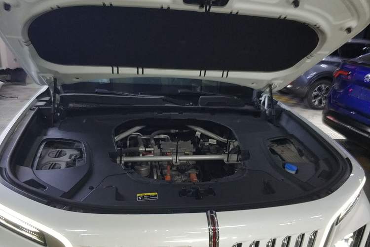 Used Hongqi E-HS9 2022 660 km Range Flagway Edition Six Seats Engine Bay