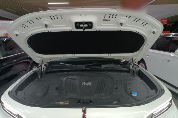 Used Hongqi E-HS9 2022 660 km Range Flagway Edition Six Seats Engine Bay