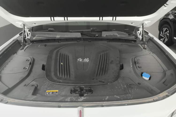 Used Hongqi E-HS9 2022 660 km Range Flagway Edition Six Seats Engine Bay