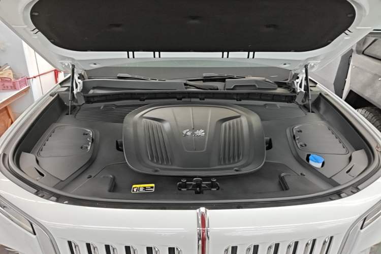 Used Hongqi E-HS9 2022 660 km Range Flagway Edition Six Seats Engine Bay