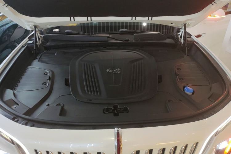 Used Hongqi E-HS9 2022 660 km Range Flagway Edition Six Seats Engine Bay