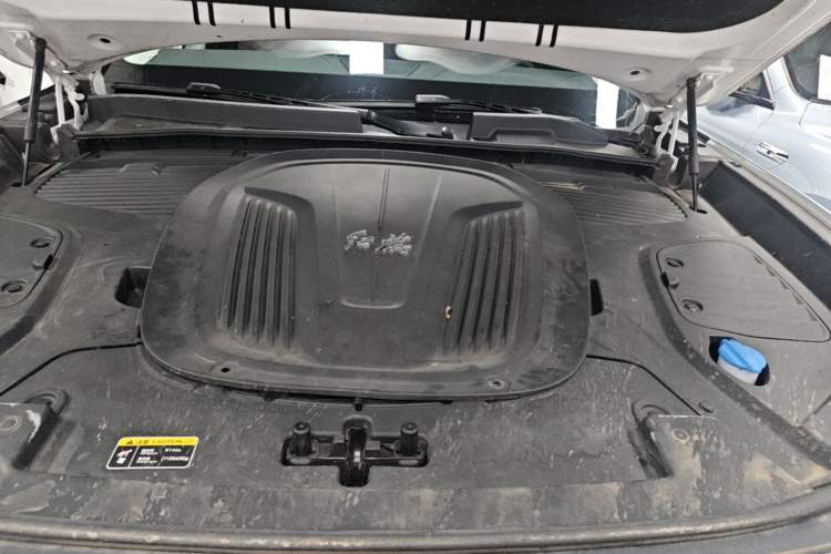 Used Hongqi E-HS9 2022 660 km Range Flagway Edition Six Seats Engine Bay