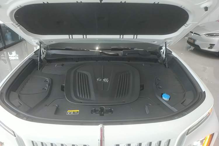 Used Hongqi E-HS9 2022 660 km Range Flagway Edition Six Seats Engine Bay