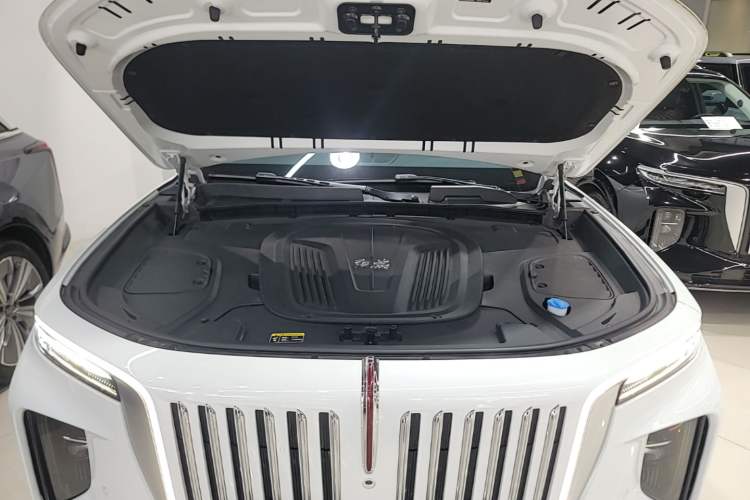 Used Hongqi E-HS9 2022 660 km Range Flagway Edition Six Seats Engine Bay