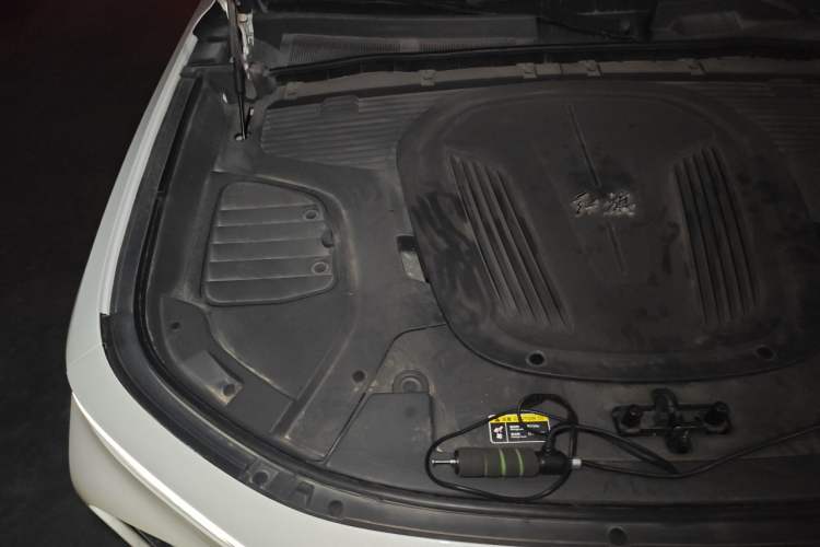 Used Hongqi E-HS9 2022 660 km Range Flagway Edition Six Seats Engine Bay Right