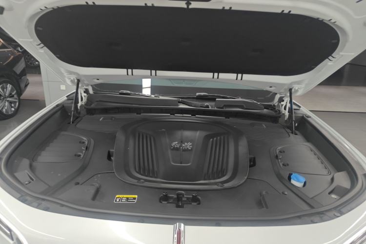 Used Hongqi E-HS9 2022 660 km Range Flagway Edition Six Seats Engine Bay