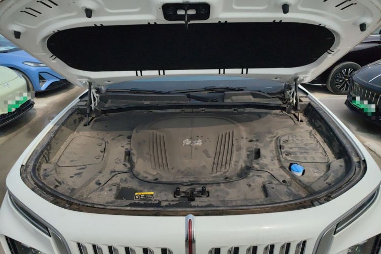 Used Hongqi E-HS9 2022 660 km Range Flagway Edition Six Seats Engine Bay