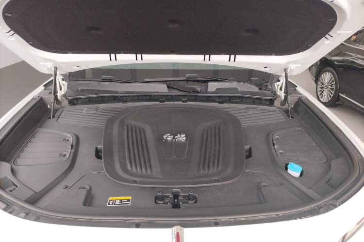Used Hongqi E-HS9 2022 660 km Range Flagway Edition Six Seats Engine Bay