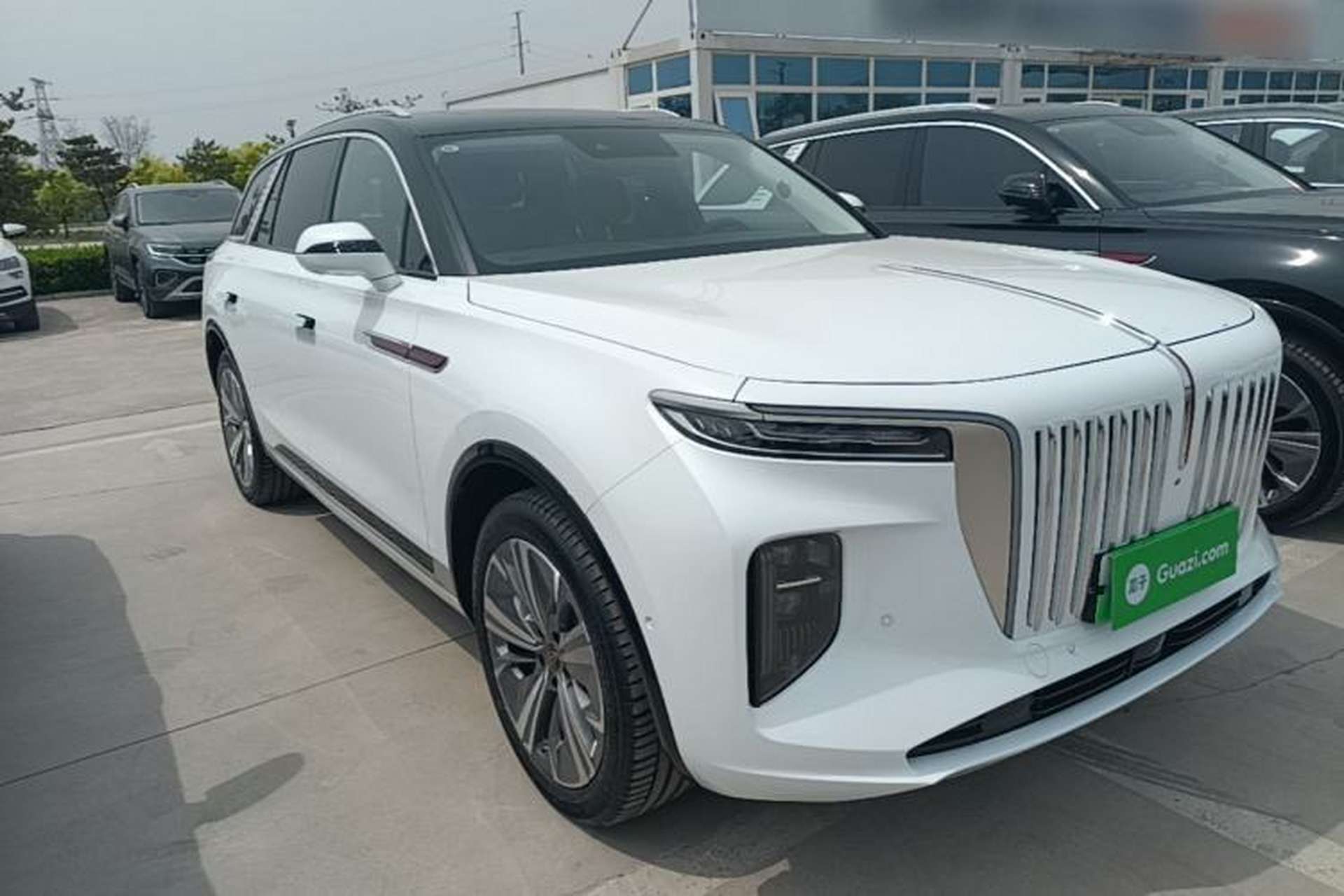 Used Hongqi E-HS9 2022 690 km Range Flagship Edition Six Seats Exterior 1