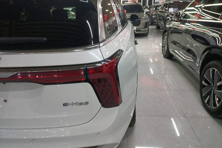Used Hongqi E-HS9 2022 660 km Range Flagway Edition Six Seats Exterior 3