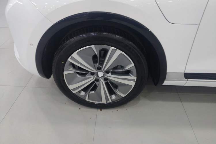 Used Hongqi E-HS9 2022 690 km Range Flagship Edition Six Seats Exterior 4