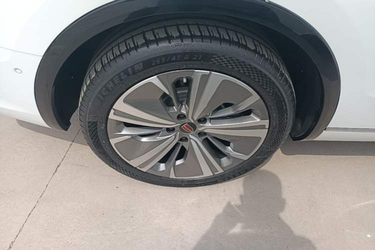 Used Hongqi E-HS9 2022 690 km Range Flagship Edition Six Seats Exterior 5