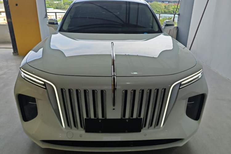 Used Hongqi E-HS9 2022 690 km Range Flagship Edition Six Seats Front