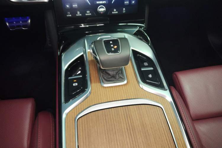 Used Hongqi E-HS9 2022 660 km Range Flagway Edition Six Seats Gear Lever
