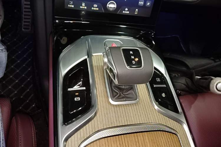 Used Hongqi E-HS9 2022 660 km Range Flagway Edition Six Seats Gear Lever