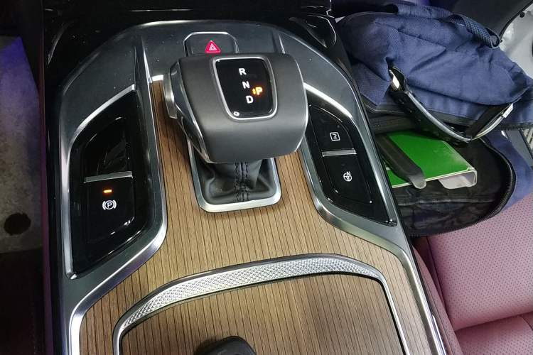 Used Hongqi E-HS9 2022 660 km Range Flagway Edition Six Seats Gear Lever