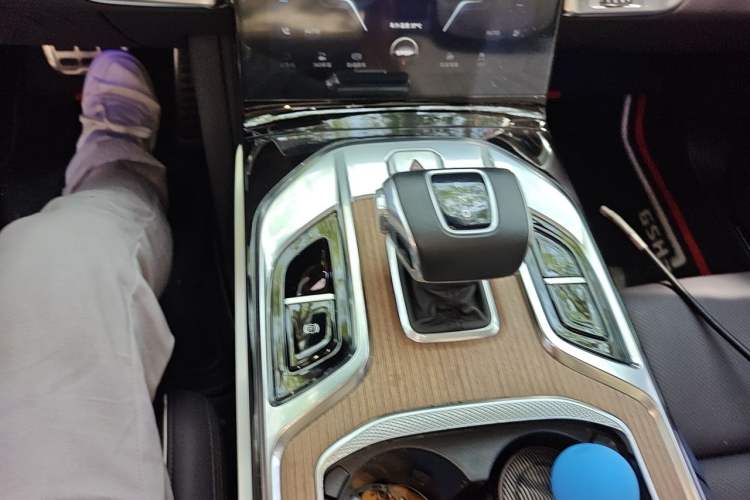 Used Hongqi E-HS9 2022 690 km Range Flagship Edition Six Seats Gear Lever