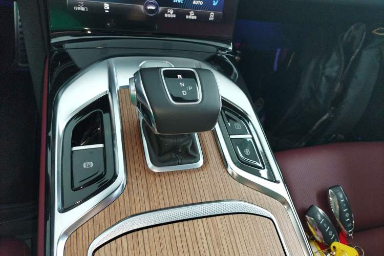 Used Hongqi E-HS9 2022 660 km Range Flagway Edition Six Seats Gear Lever