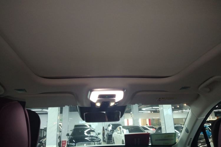 Used Hongqi E-HS9 2022 660 km Range Flagway Edition Six Seats Headliner