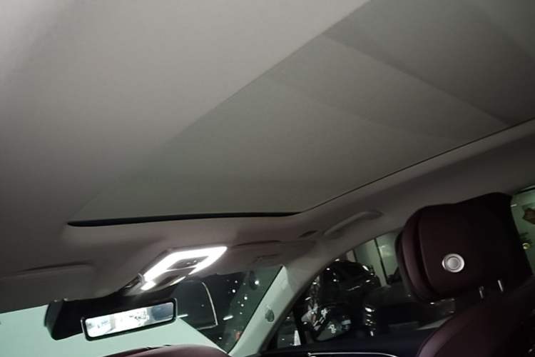 Used Hongqi E-HS9 2022 660 km Range Flagway Edition Six Seats Headliner