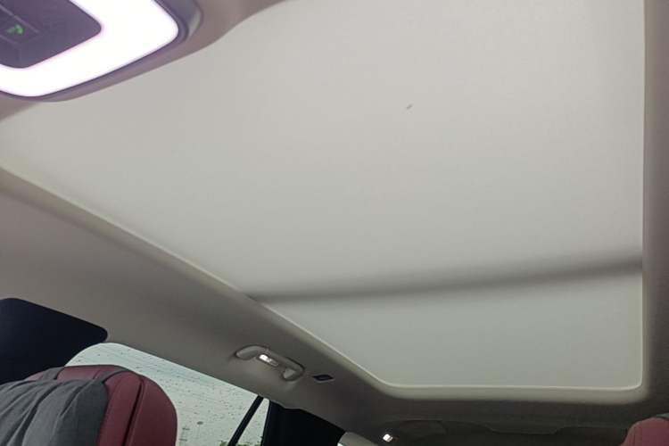 Used Hongqi E-HS9 2022 660 km Range Flagway Edition Six Seats Headliner