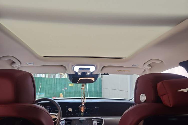 Used Hongqi E-HS9 2022 690 km Range Flagship Edition Six Seats Headliner
