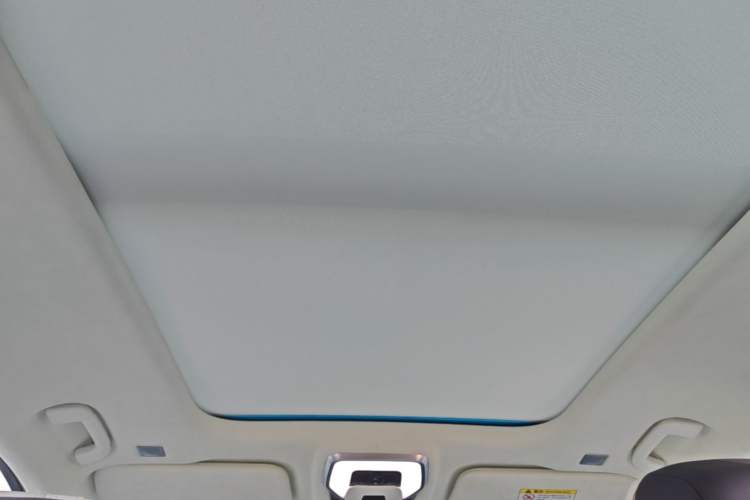 Used Hongqi E-HS9 2022 660 km Range Flagship Edition Four Seats Headliner