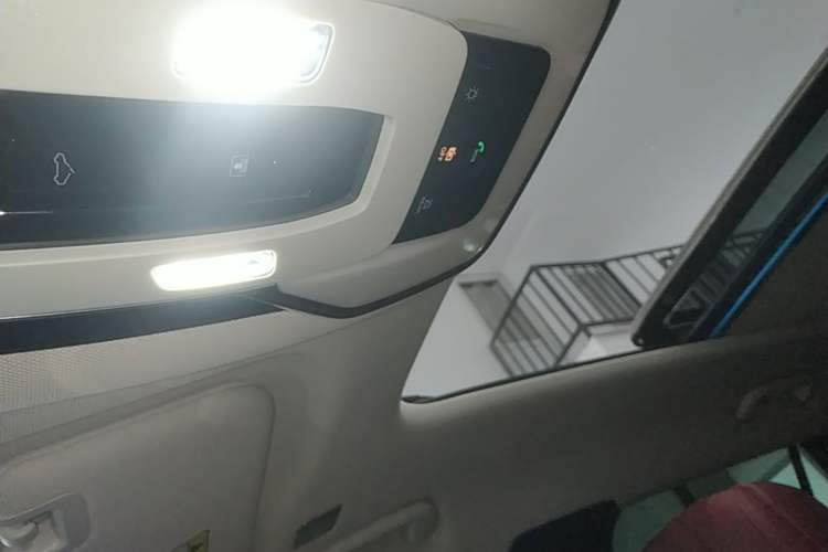 Used Hongqi E-HS9 2022 660 km Range Flagway Edition Six Seats Headliner