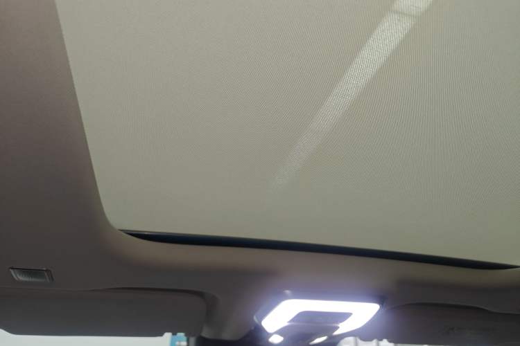 Used Hongqi E-HS9 2022 660 km Range Flagway Edition Six Seats Headliner