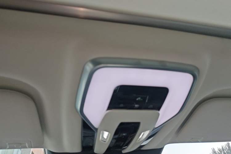 Used Hongqi E-HS9 2022 690 km Range Flagship Edition Six Seats Headliner