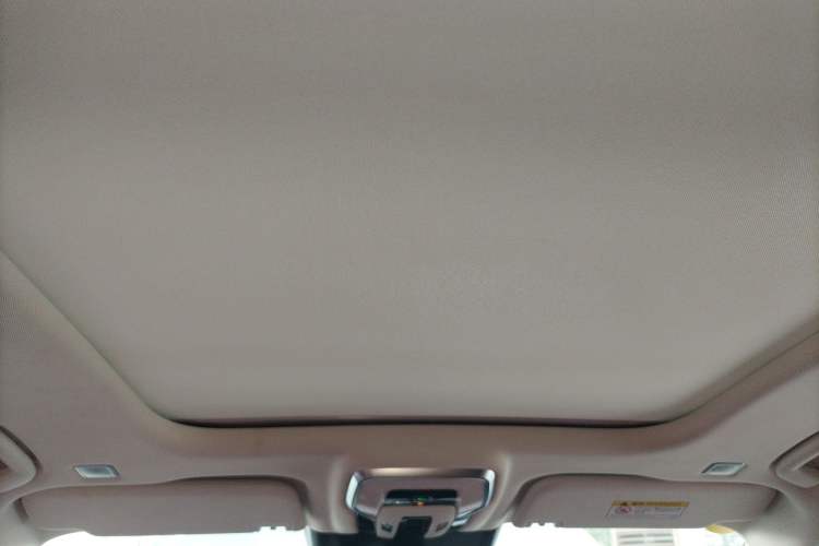 Used Hongqi E-HS9 2022 660 km Range Flagway Edition Six Seats Headliner