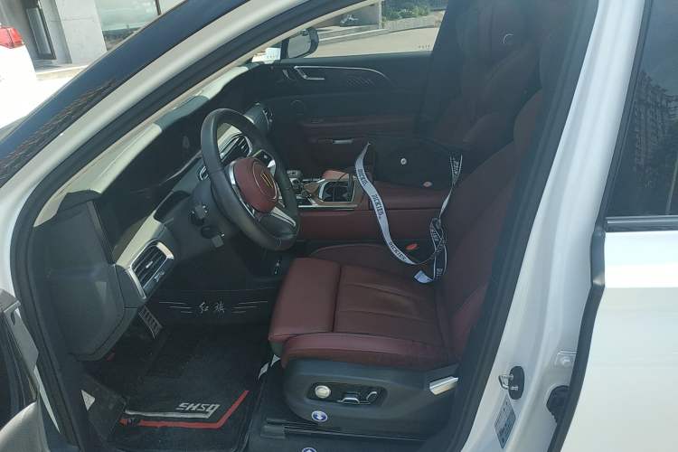 Used Hongqi E-HS9 2022 690 km Range Flagship Edition Six Seats Left Front Seat