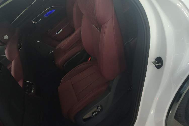 Used Hongqi E-HS9 2022 660 km Range Flagway Edition Six Seats Left Rear Seat