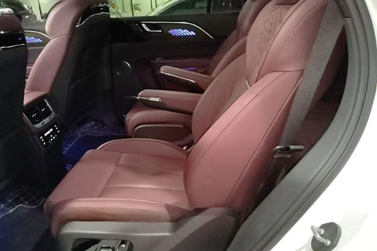 Used Hongqi E-HS9 2022 660 km Range Flagway Edition Six Seats Left Rear Seat