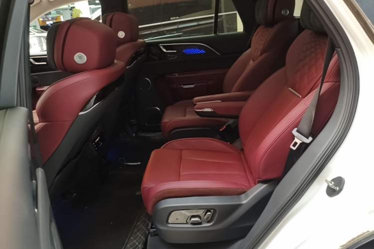 Used Hongqi E-HS9 2022 660 km Range Flagway Edition Six Seats Left Rear Seat