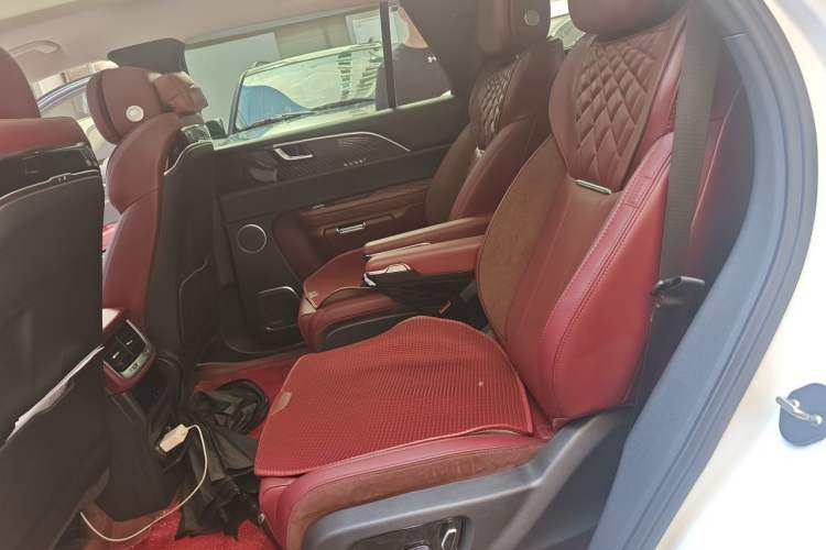 Used Hongqi E-HS9 2022 690 km Range Flagship Edition Six Seats Left Rear Seat