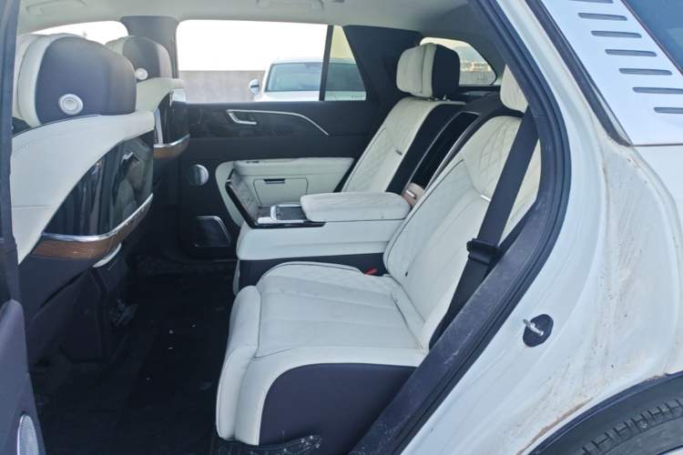 Used Hongqi E-HS9 2022 660 km Range Flagship Edition Four Seats Left Rear Seat