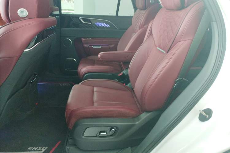 Used Hongqi E-HS9 2022 660 km Range Flagway Edition Six Seats Left Rear Seat