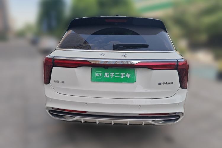 Used Hongqi E-HS9 2022 660 km Range Flagway Edition Six Seats Rear