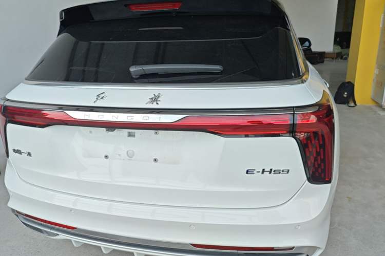 Used Hongqi E-HS9 2022 690 km Range Flagship Edition Six Seats Rear