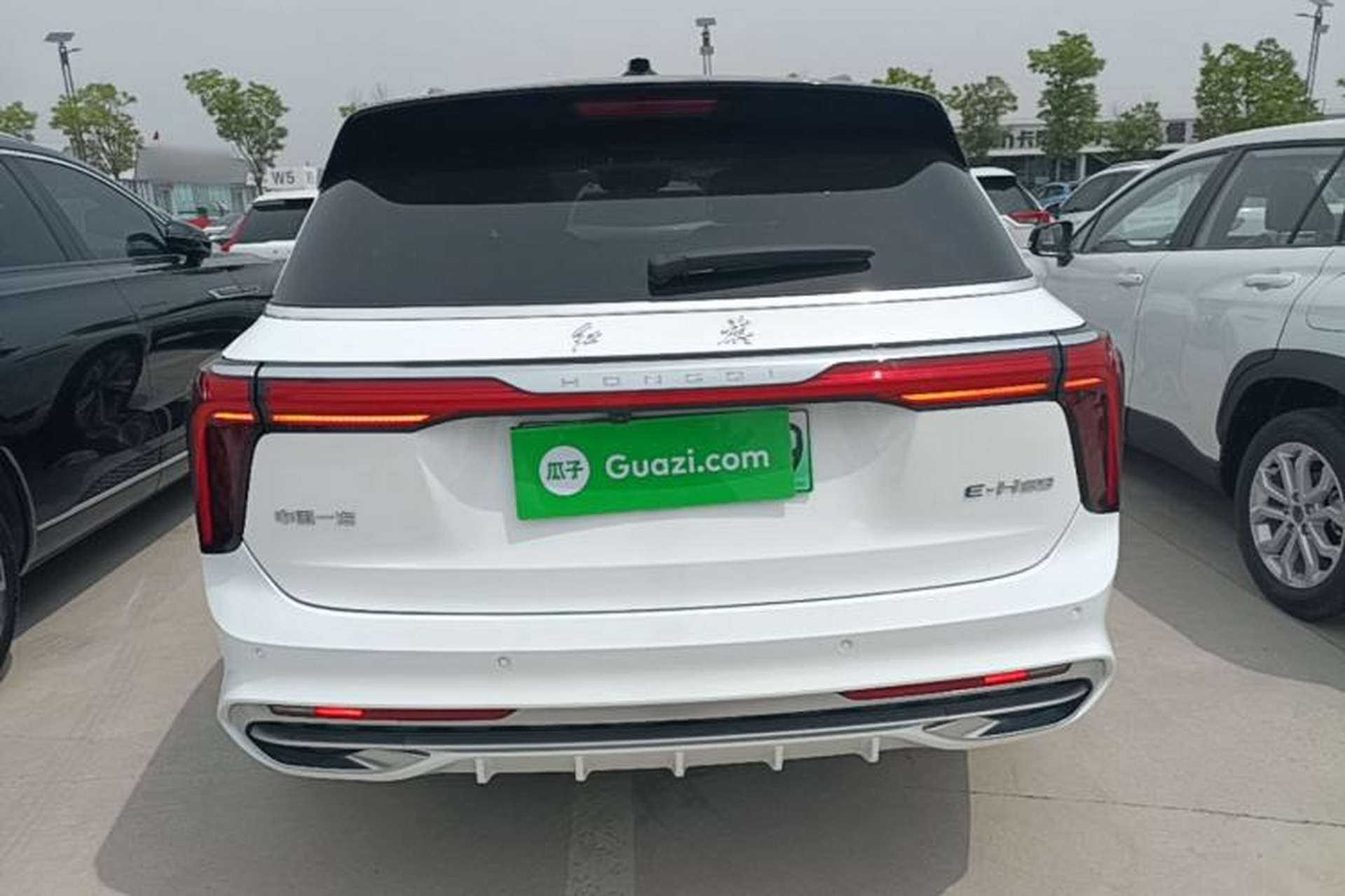 Used Hongqi E-HS9 2022 690 km Range Flagship Edition Six Seats Rear