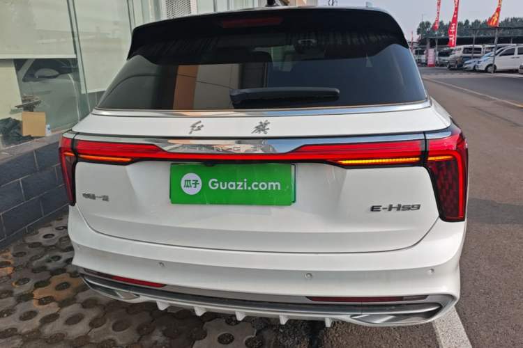 Used Hongqi E-HS9 2022 690 km Range Flagship Edition Six Seats Rear