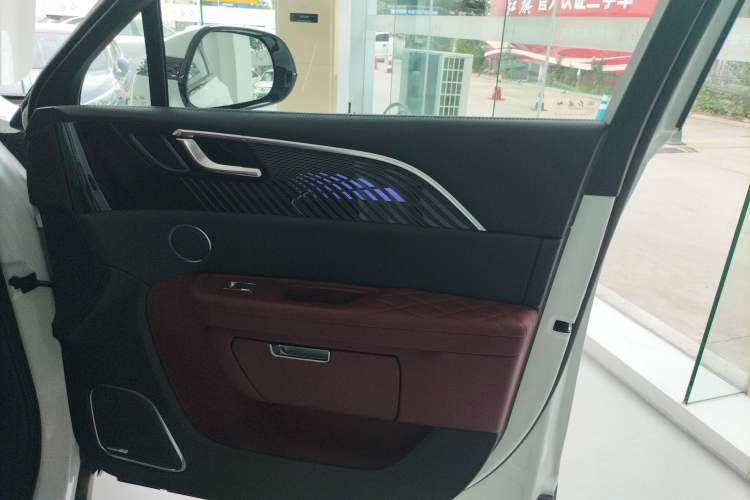 Used Hongqi E-HS9 2022 660 km Range Flagway Edition Six Seats Right Front Door Interior