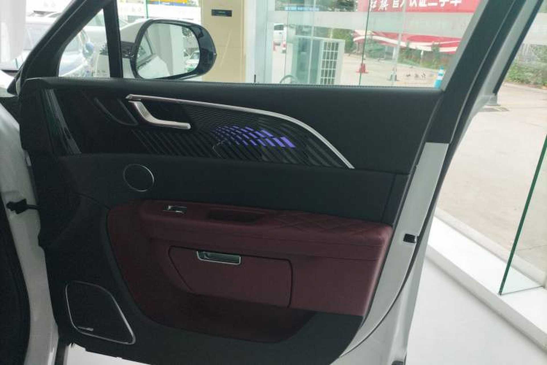 Used Hongqi E-HS9 2022 660 km Range Flagway Edition Six Seats Right Front Door Interior