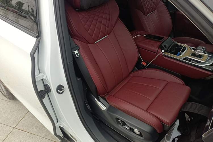 Used Hongqi E-HS9 2022 660 km Range Flagway Edition Six Seats Right Front Seat