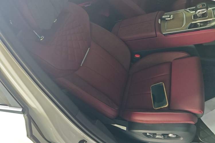 Used Hongqi E-HS9 2022 690 km Range Flagship Edition Six Seats Right Front Seat